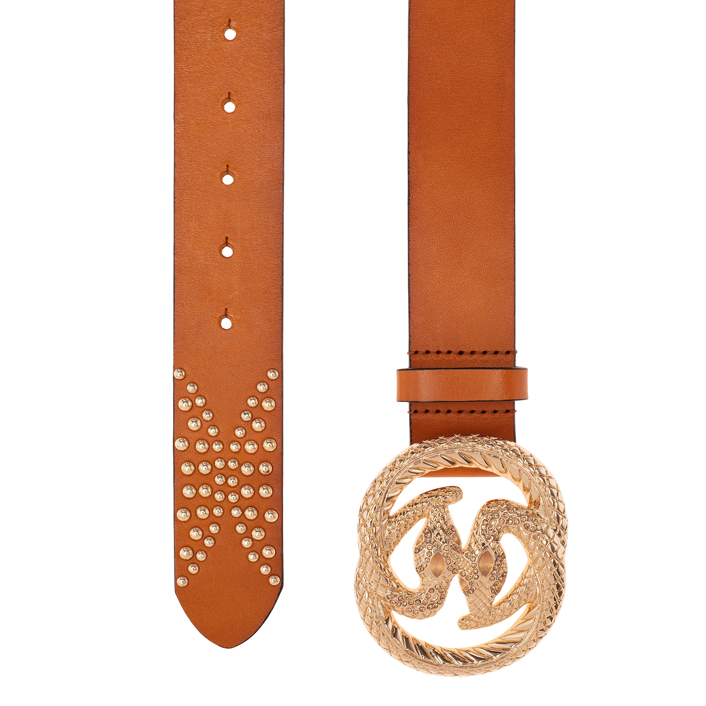 Stylish Snake Glam Belt in camel color with gold snake buckle and studded design, perfect for enhancing any outfit.