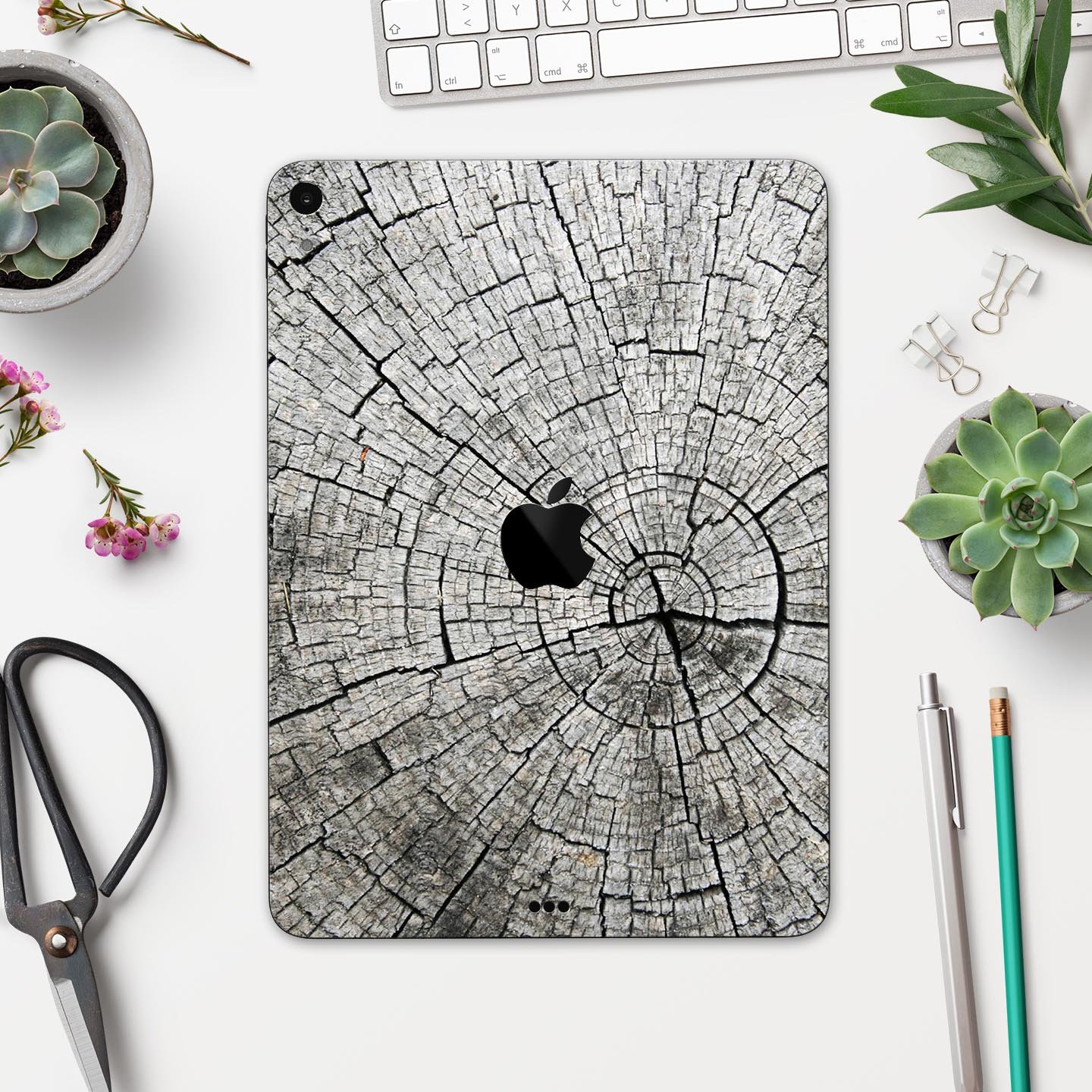 Aged Cracked Tree Stump Core skin decal for Apple iPad, showcasing a rustic design with premium 3M material for protection.