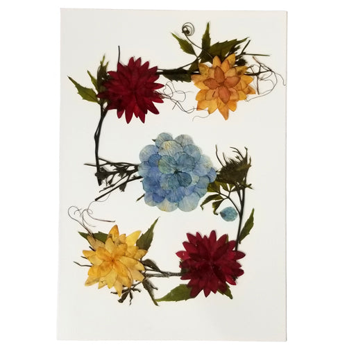 Balashram Designed Floral Gift Cards featuring unique dried flower designs created by children and women artisans.