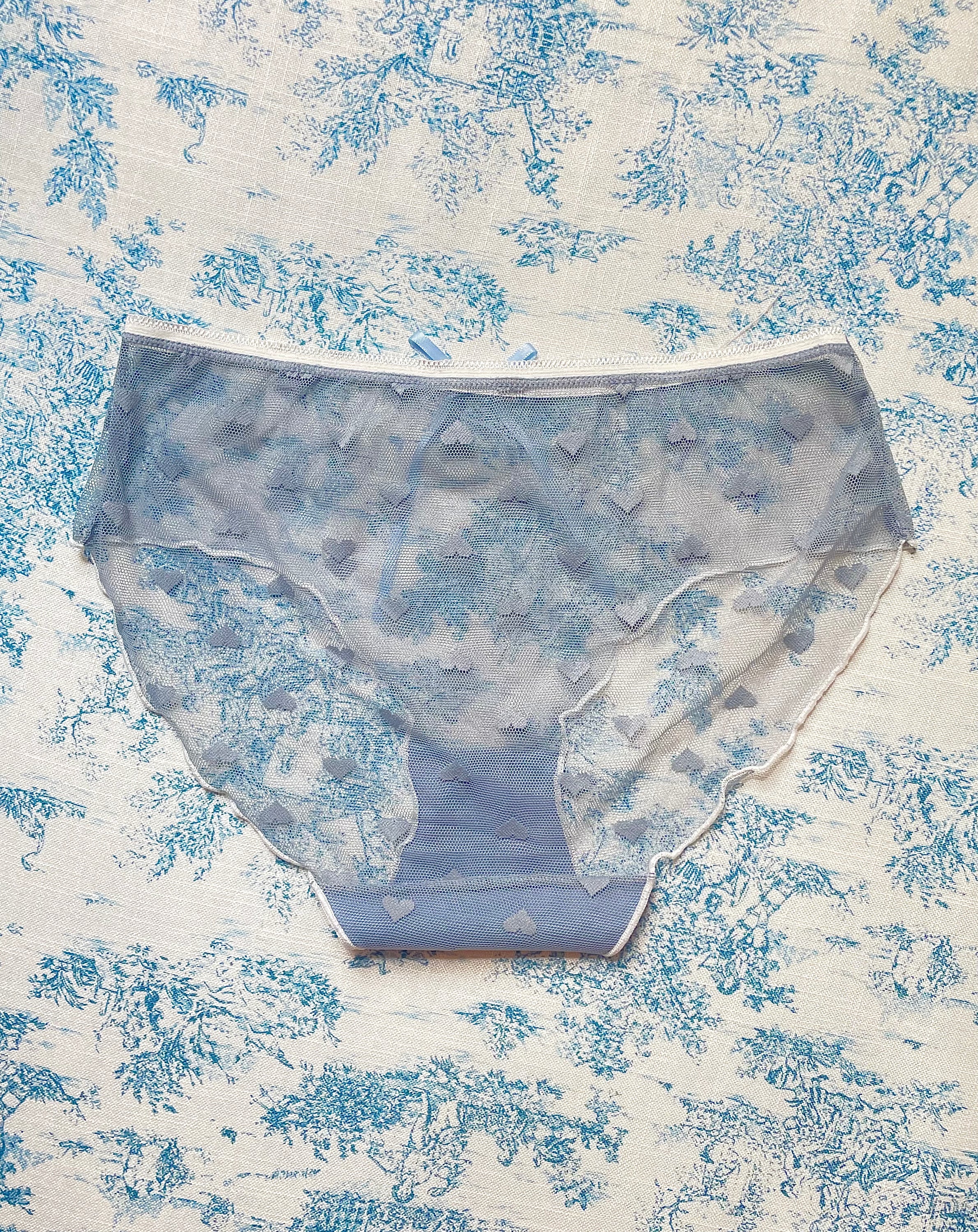 Blue Mesh Heart Panty featuring delicate mesh, heart designs, and a sweet bow detail.