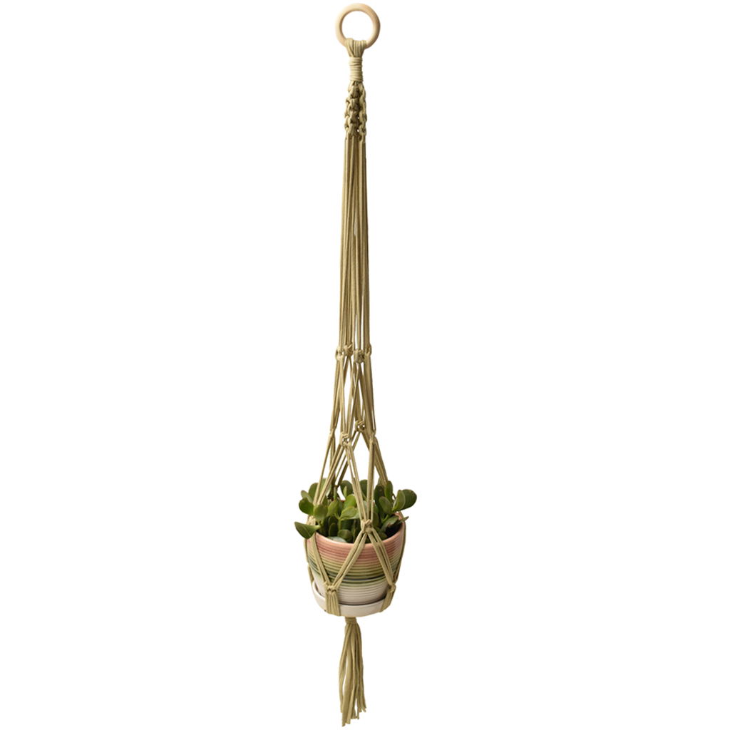 DIY Eco Macramé Plant Hanger Kit with eco-friendly materials and colorful cords displayed on a wooden surface.