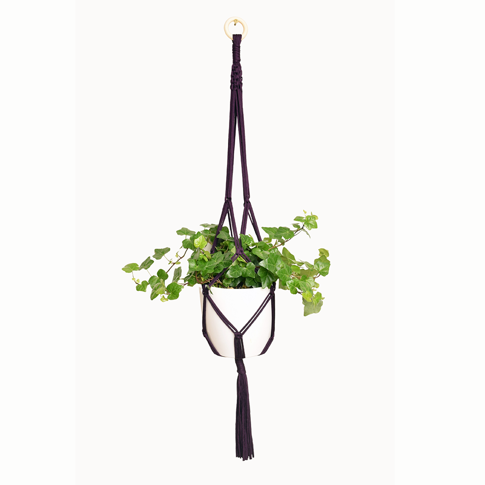 DIY Eco Macramé Plant Hanger Kit with eco-friendly materials and colorful cords displayed on a wooden surface.