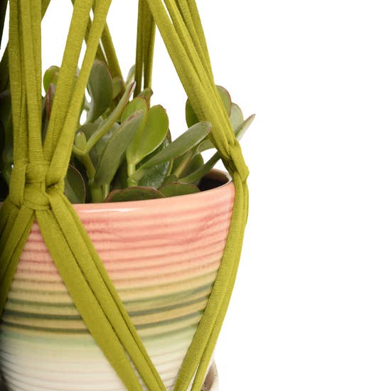 DIY Eco Macramé Plant Hanger Kit with eco-friendly materials and colorful cords displayed on a wooden surface.