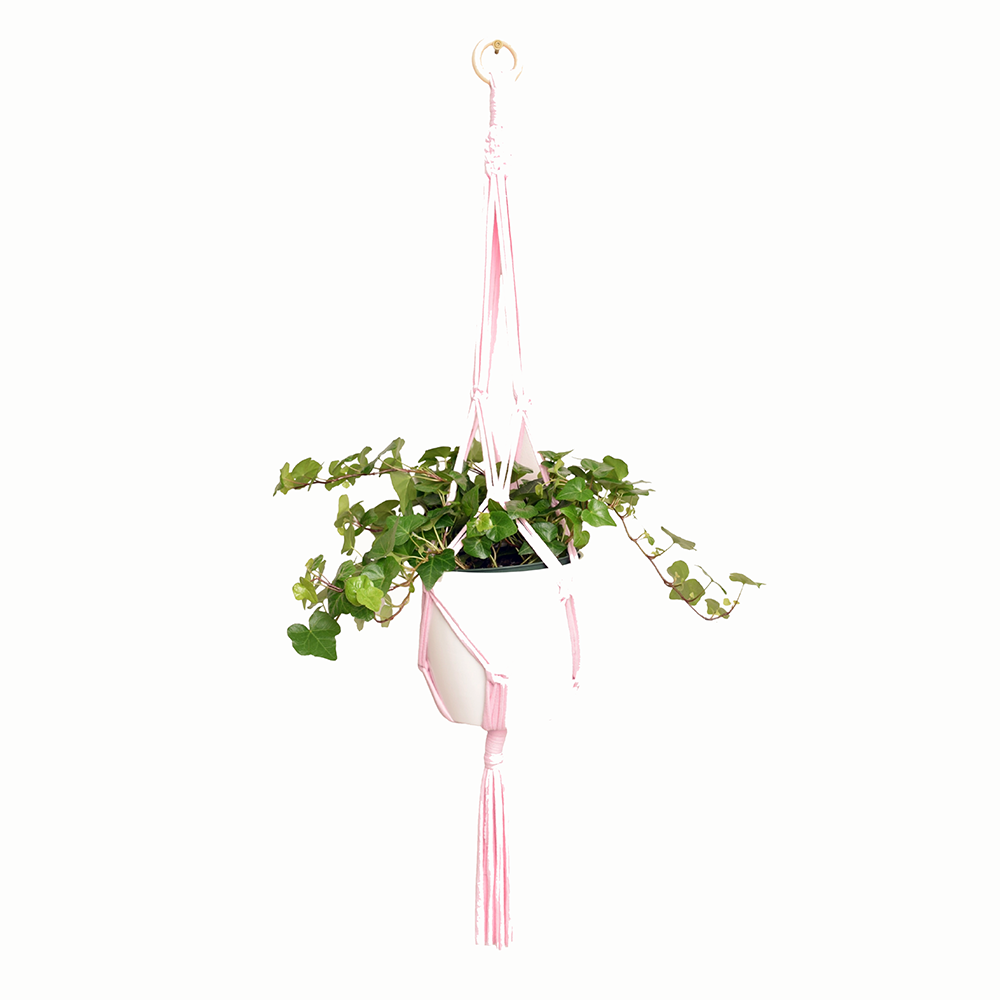 DIY Eco Macramé Plant Hanger Kit with eco-friendly materials and colorful cords displayed on a wooden surface.