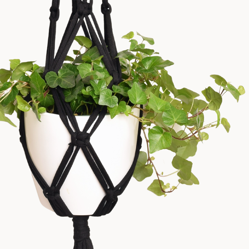 DIY Eco Macramé Plant Hanger Kit with eco-friendly materials and colorful cords displayed on a wooden surface.