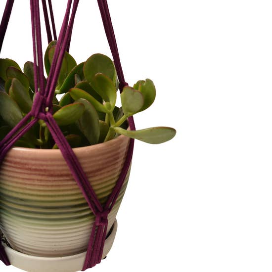 DIY Eco Macramé Plant Hanger Kit with eco-friendly materials and colorful cords displayed on a wooden surface.