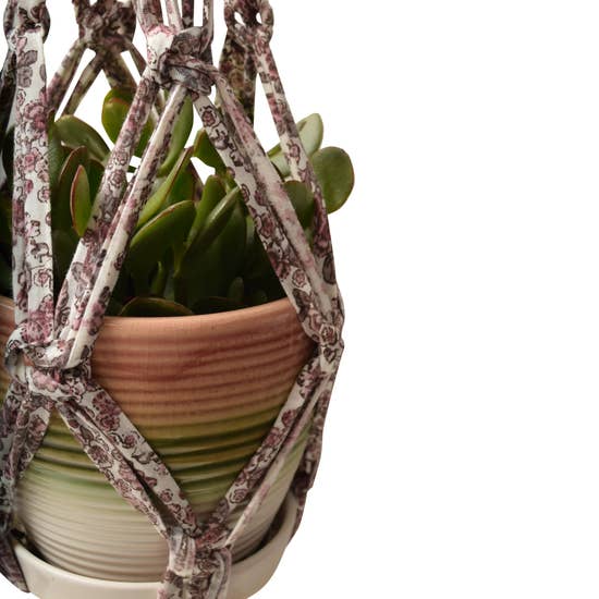 DIY Eco Macramé Plant Hanger Kit with eco-friendly materials and colorful cords displayed on a wooden surface.