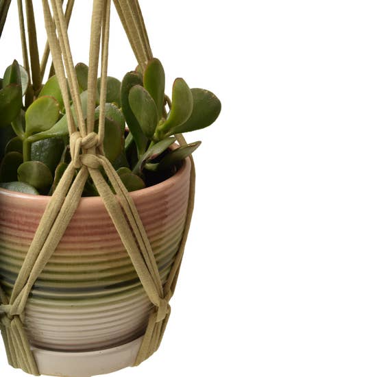 DIY Eco Macramé Plant Hanger Kit with eco-friendly materials and colorful cords displayed on a wooden surface.