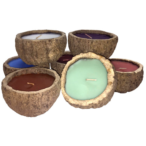 Exotic scented Brazil Nut candles made from rainforest pods, showcasing their unique design and eco-friendly materials.