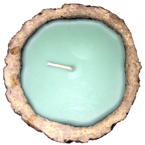 Exotic scented Brazil Nut candles made from rainforest pods, showcasing their unique design and eco-friendly materials.