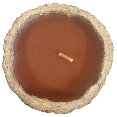 Exotic scented Brazil Nut candles made from rainforest pods, showcasing their unique design and eco-friendly materials.