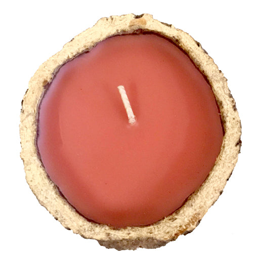 Exotic scented Brazil Nut candles made from rainforest pods, showcasing their unique design and eco-friendly materials.