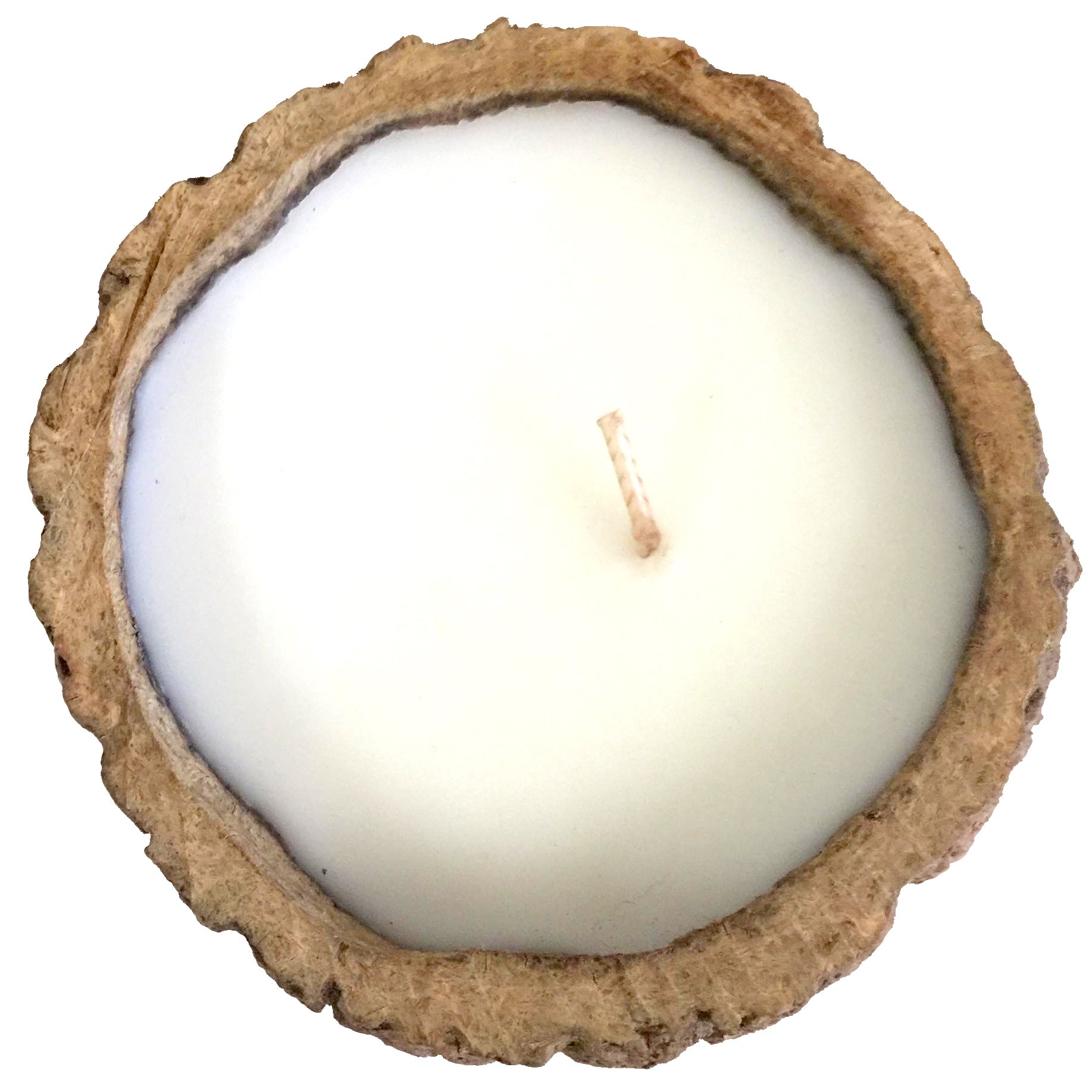 Exotic scented Brazil Nut candles made from rainforest pods, showcasing their unique design and eco-friendly materials.