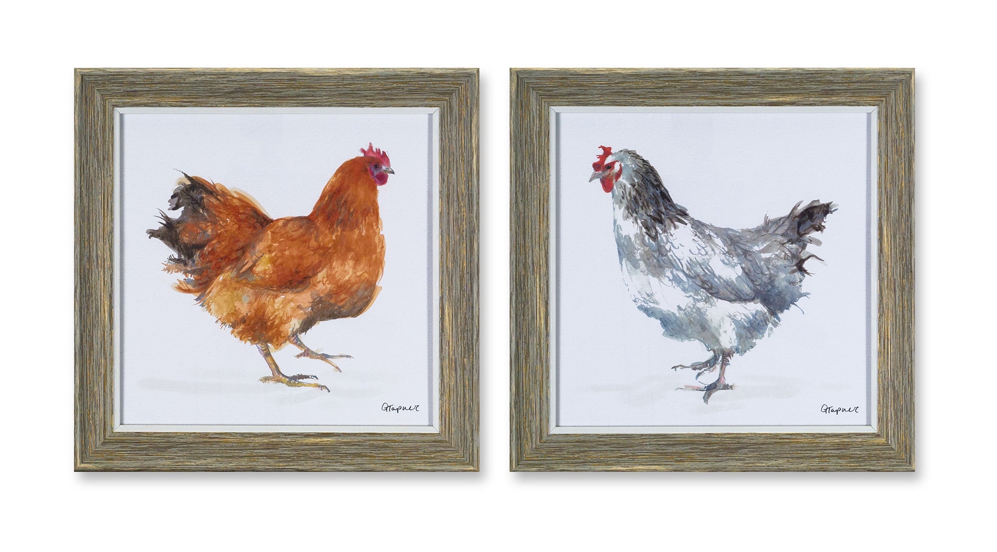 Set of 4 framed chicken prints in wood and glass, each measuring 10 inches high, showcasing charming chicken designs.