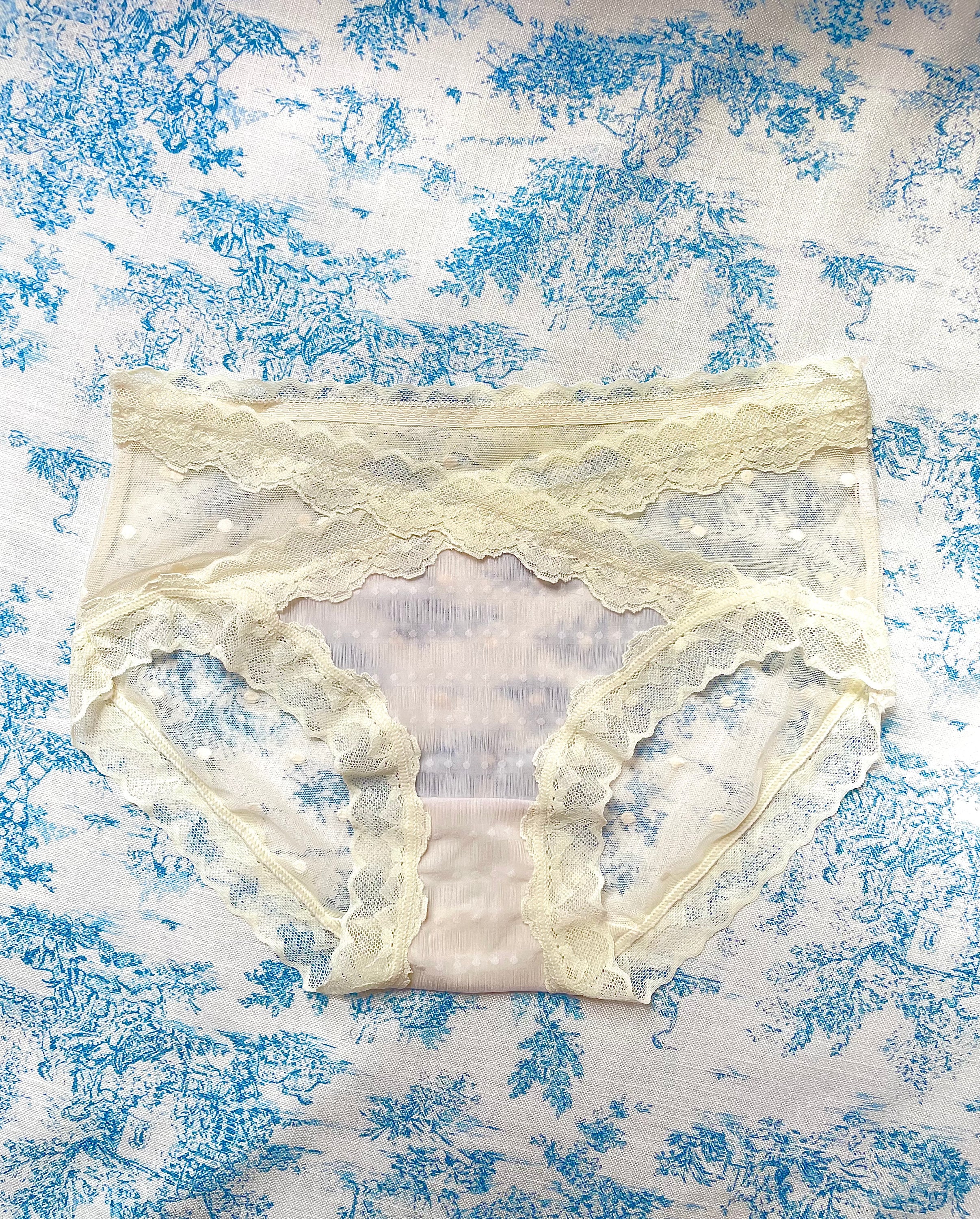 Ivory Mesh Lace Trim Panty featuring soft mesh, intricate lace trim, and playful polka dot detailing.