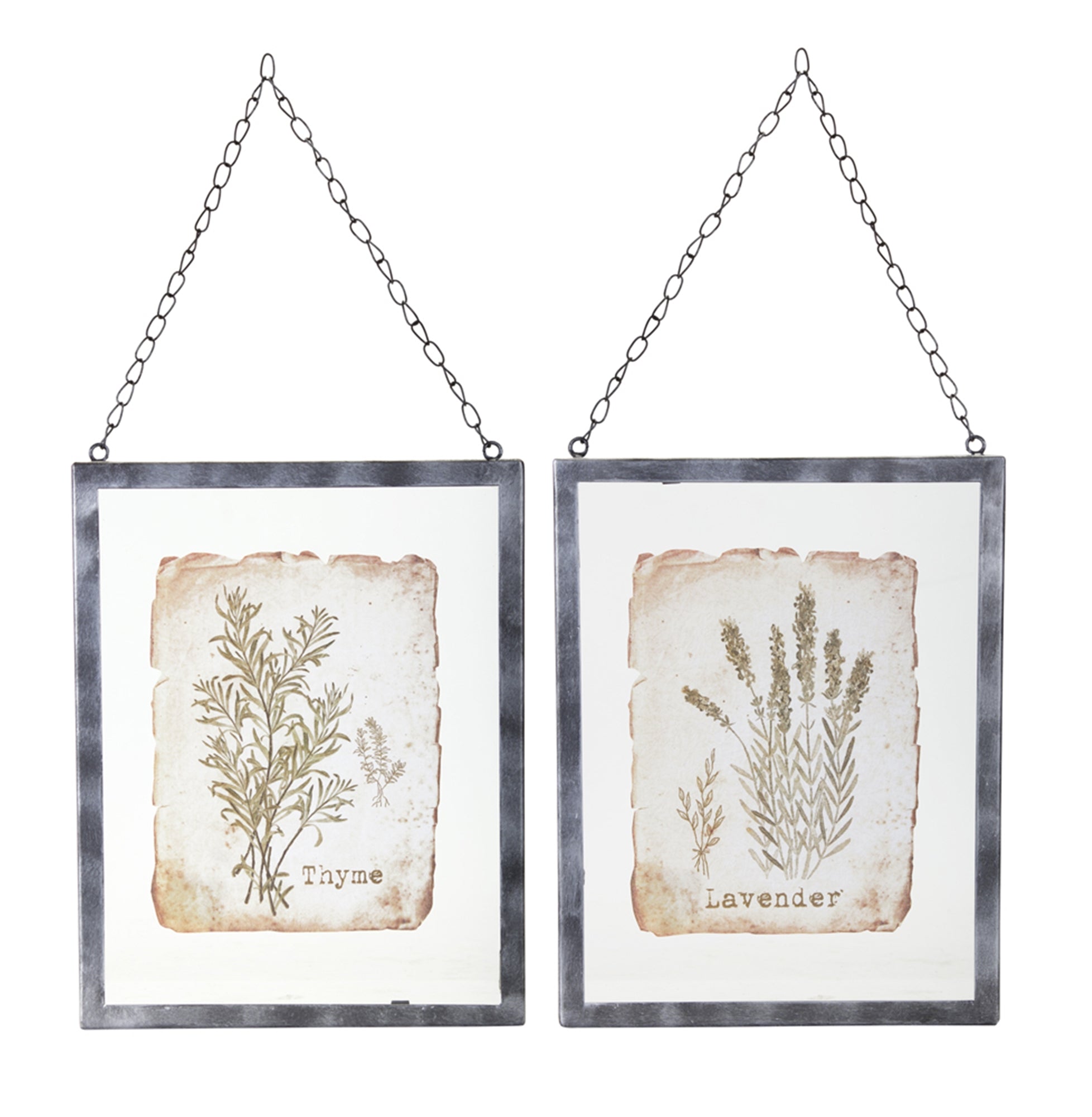 Set of 2 Lavender/Thyme Frames made of glass and metal, measuring 9.5" x 12.5", showcasing elegant design.