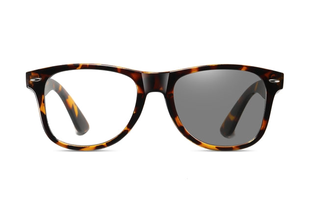 OCEAN GLASSES APPLE 2140.2 featuring a full-rimmed round brown frame, designed for unisex wear.