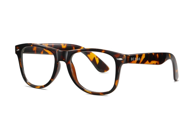 OCEAN GLASSES APPLE 2140.2 featuring a full-rimmed round brown frame, designed for unisex wear.