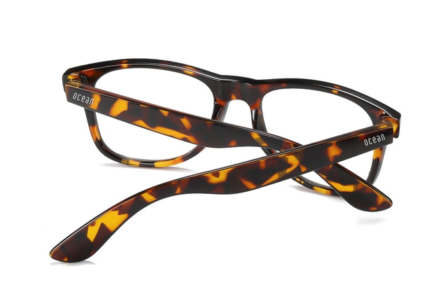 OCEAN GLASSES APPLE 2140.2 featuring a full-rimmed round brown frame, designed for unisex wear.