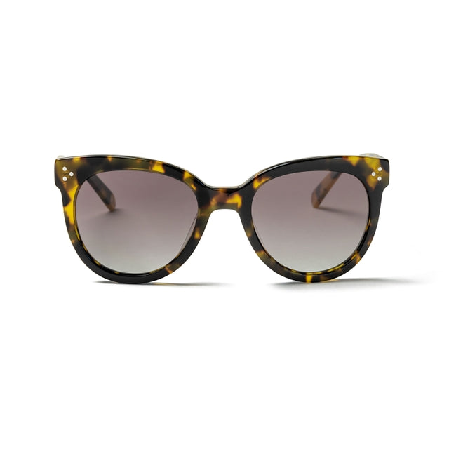 OCEAN GLASSES ARETHA 8072.3 in brown, featuring a stylish cat-eye design and full-rimmed acetate frame.