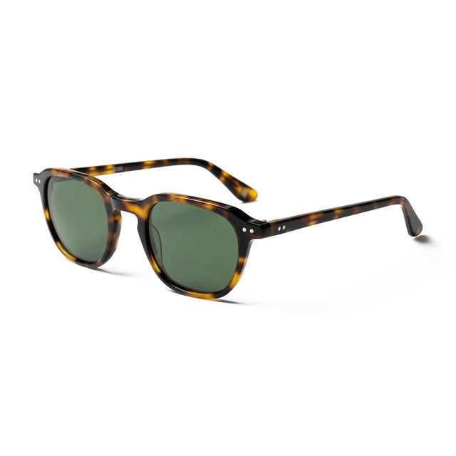 OCEAN GLASSES HILL 8092.3 full-rimmed round glasses in brown acetate, designed for unisex wear.