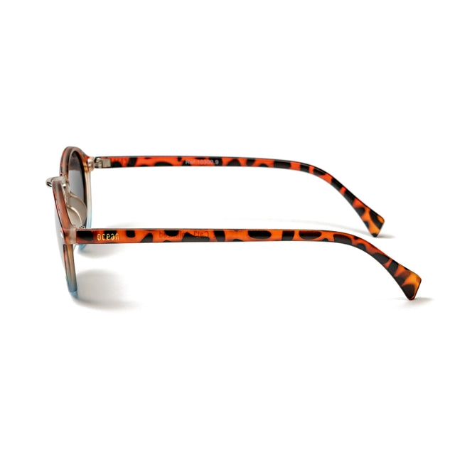 OCEAN GLASSES Lille 10300.9 featuring a full-rimmed round brown frame, suitable for unisex wear.