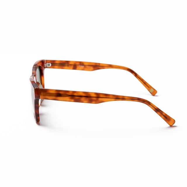 OCEAN GLASSES NICOSIA 8064.2 featuring a full-rimmed rectangular brown acetate frame, suitable for unisex wear.