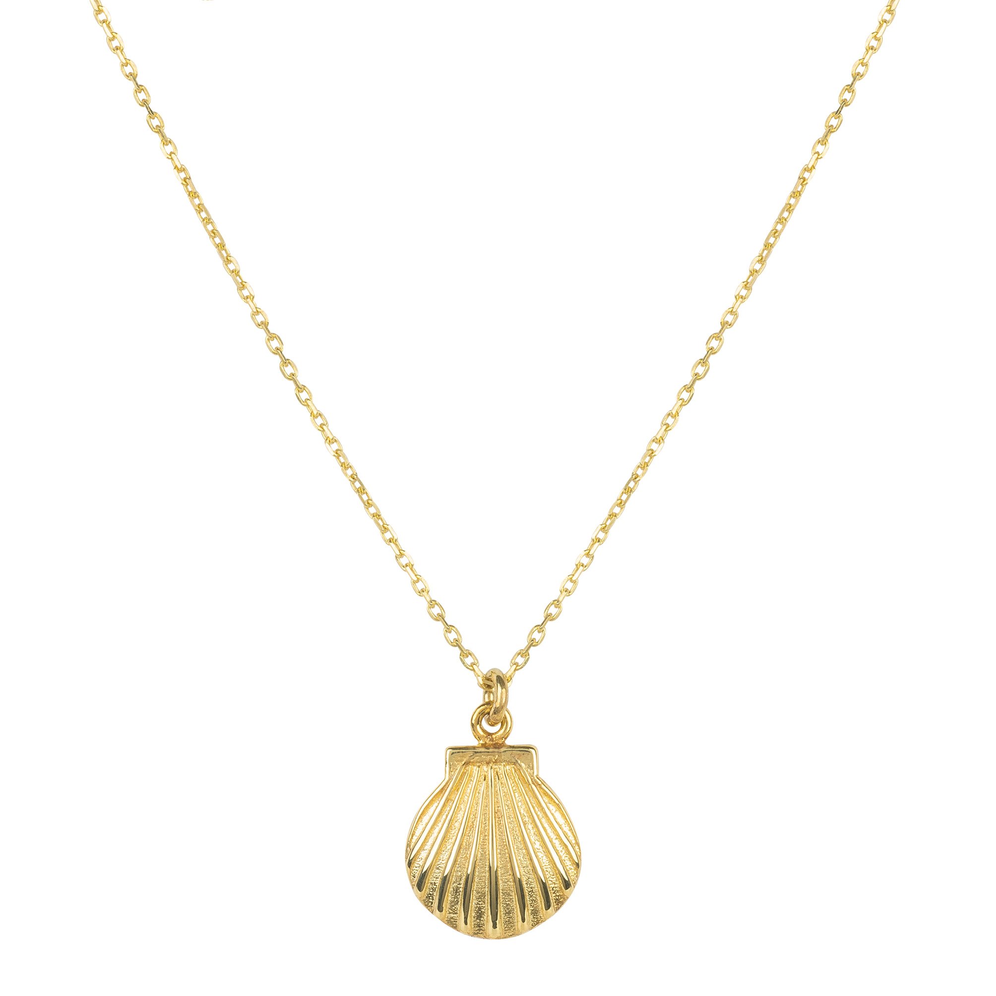 A delicate gold necklace featuring a scallop shell pendant, elegantly displayed in a black and gold jewellery box.