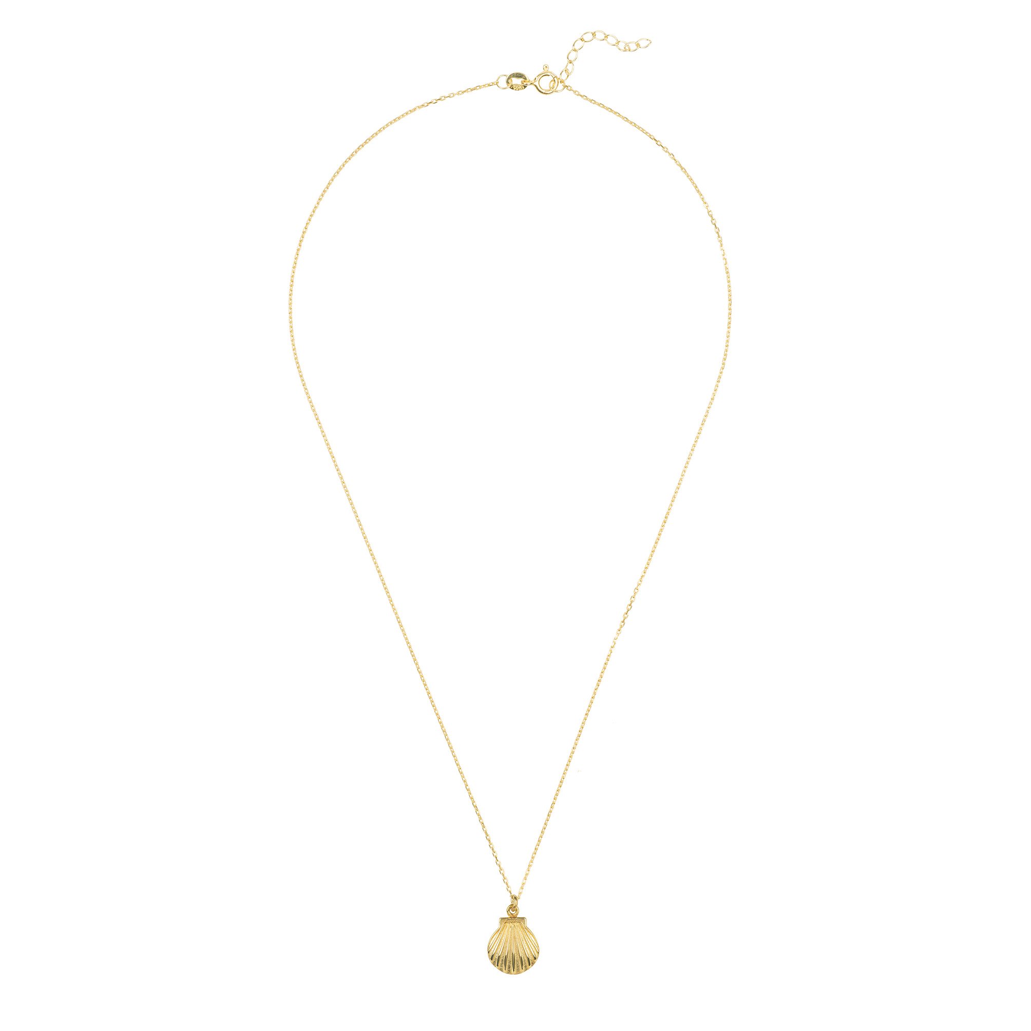 A delicate gold necklace featuring a scallop shell pendant, elegantly displayed in a black and gold jewellery box.