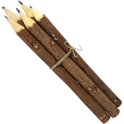 Set of 5 Neem Wood Pencils, handcrafted from discarded neem twigs, showcasing their natural texture and vibrant colors.