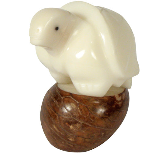 Hand-carved turtle figurine made from tagua nut, showcasing natural colors and intricate details, symbolizing eco-friendliness and artisan craftsmanship.