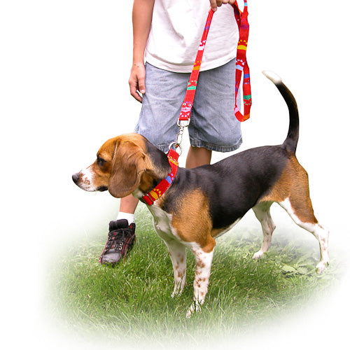 Colorful hand-woven dog leash featuring Mayan designs, made by women artisans in Guatemala, showcasing vibrant colors and unique patterns.