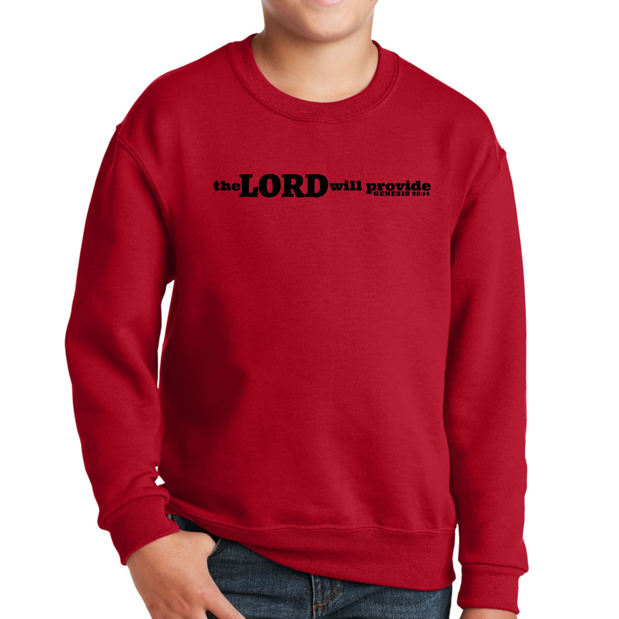 Black youth graphic sweatshirt with 'The Lord Will Provide' print, featuring a comfortable crewneck design.