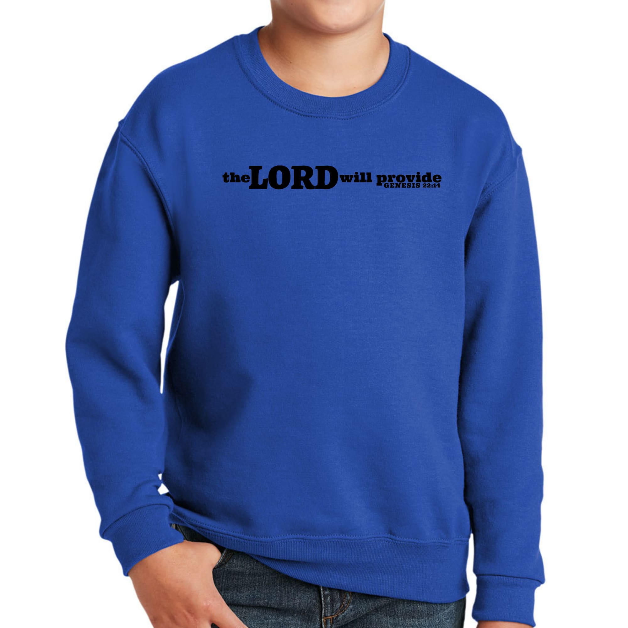 Black youth graphic sweatshirt with 'The Lord Will Provide' print, featuring a comfortable crewneck design.