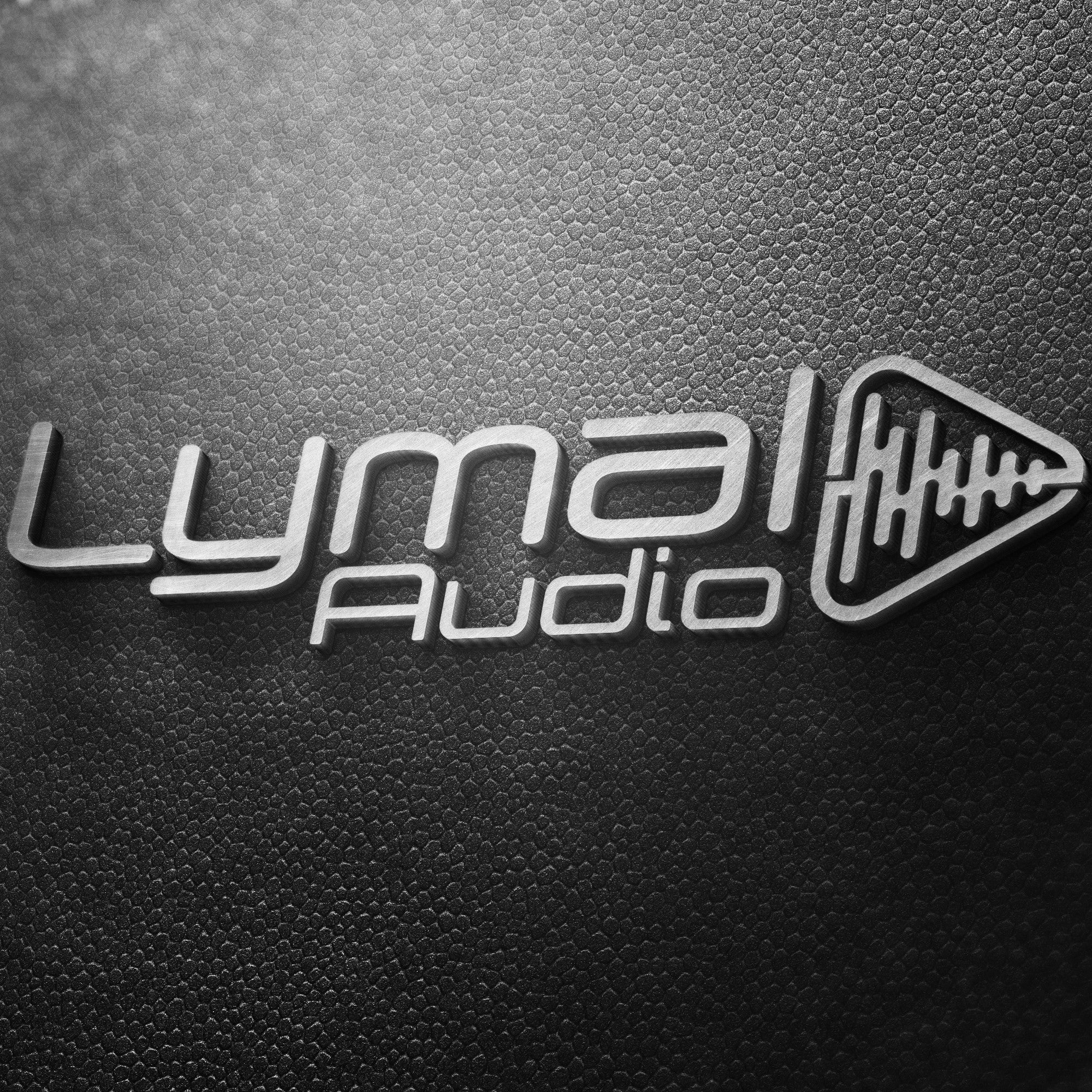 Lymal Audio LT-620F 6.5" Midrange Loudspeaker showcasing its black paper cone and robust iron basket.