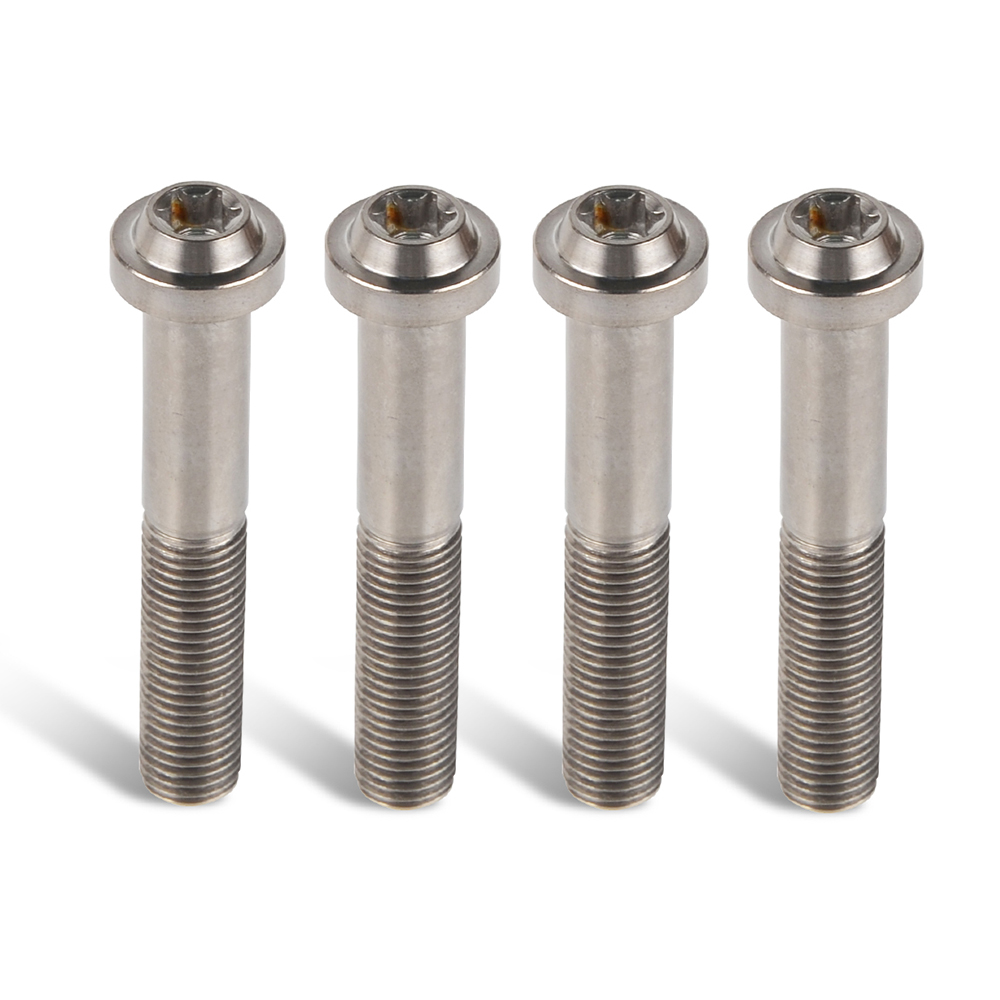 Four stainless steel screws.