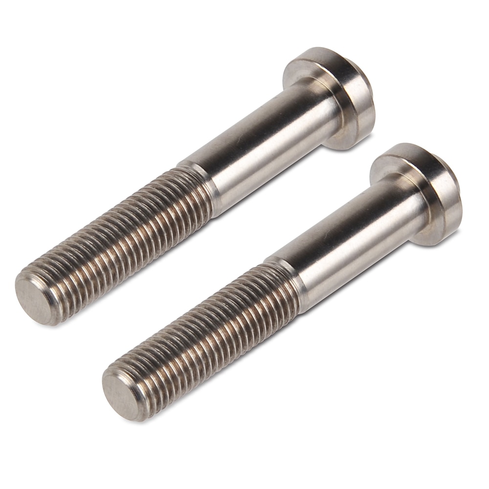 Two stainless steel bolts.