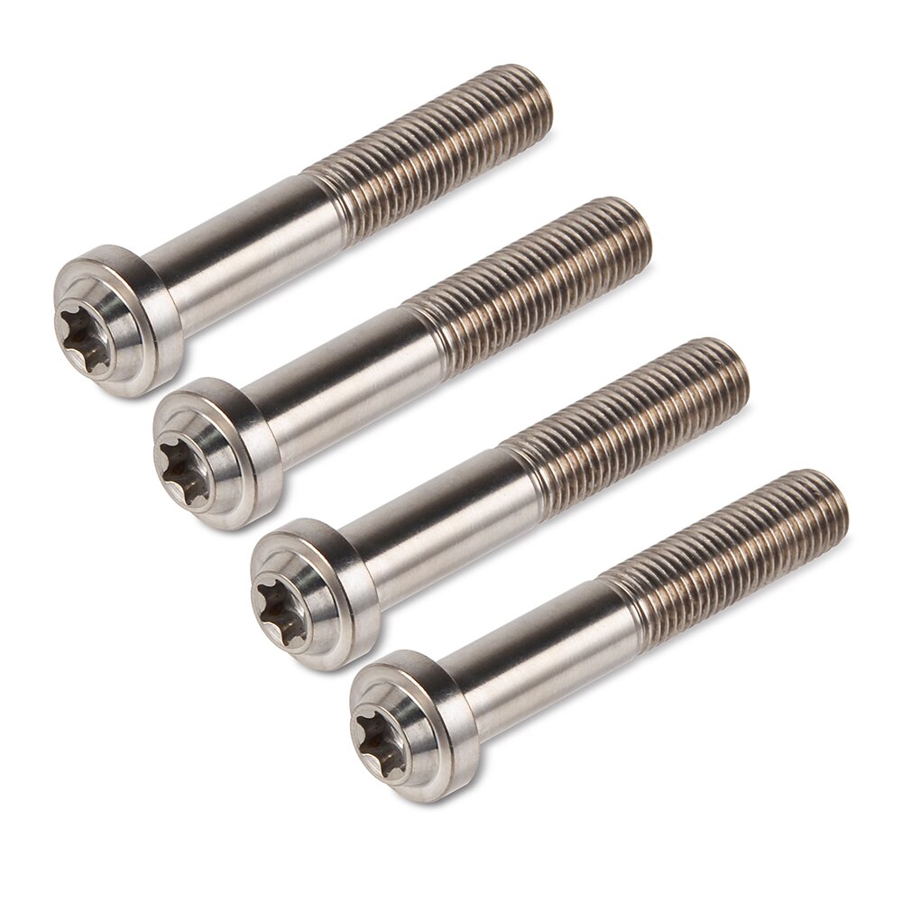 Four stainless steel bolts