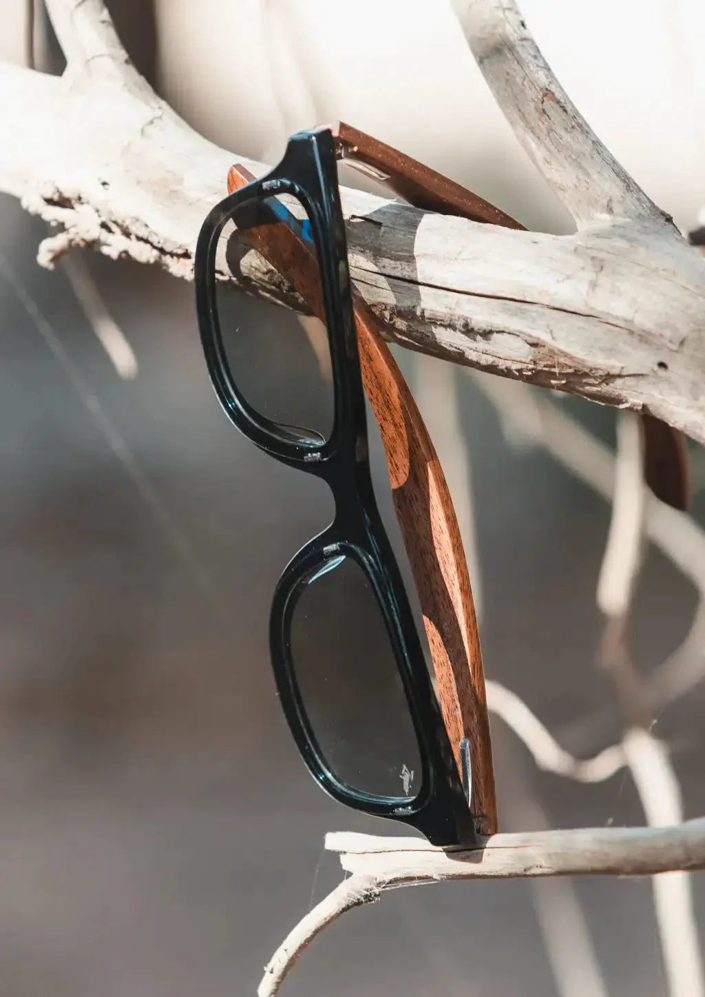 Eyewood Reinvented Wayfarer sunglasses featuring a unique blend of walnut wood and high-quality acetate, showcasing their stylish design.