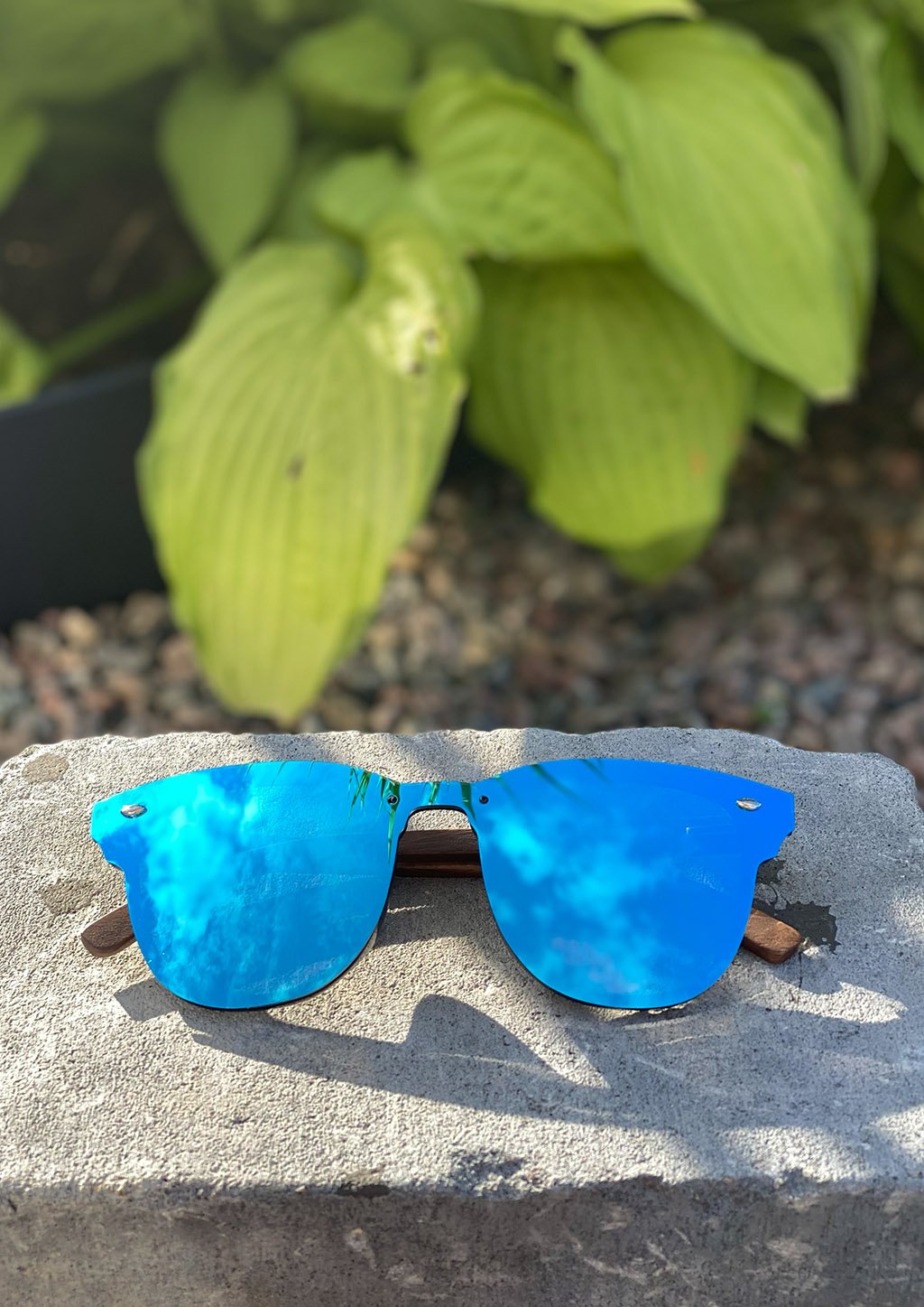 Eyewood Tomorrow - Delphinus wooden sunglasses featuring walnut temples and blue mirror polarized lenses, elegantly displayed in a natural setting.