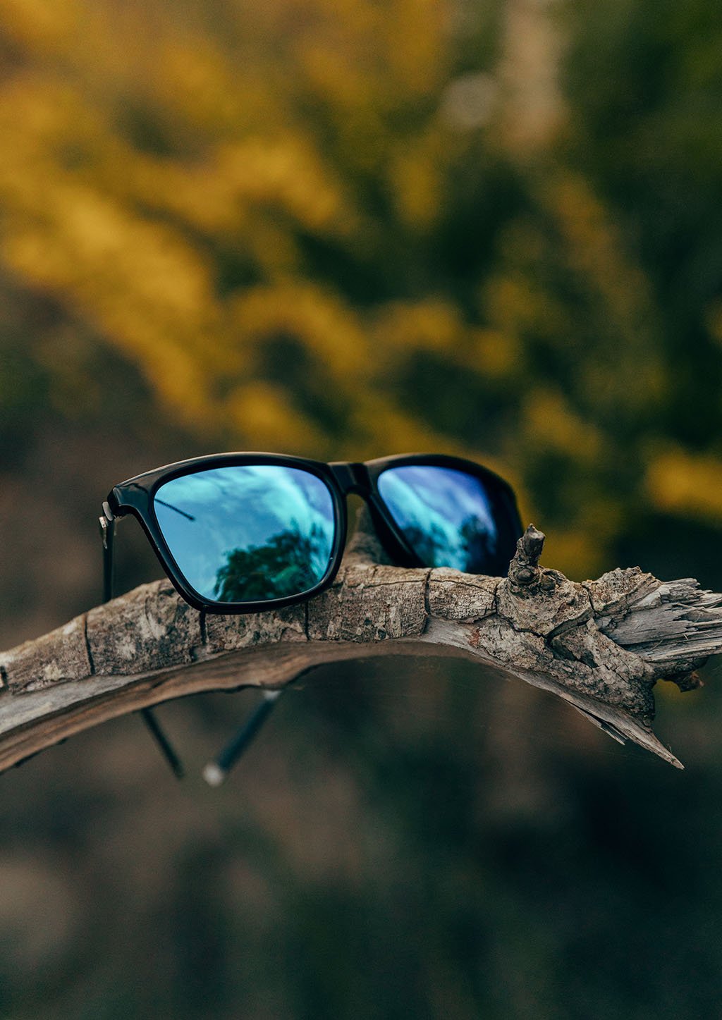 Noord Division Series sunglasses featuring a classic wayfarer design with vibrant colors and durable materials.