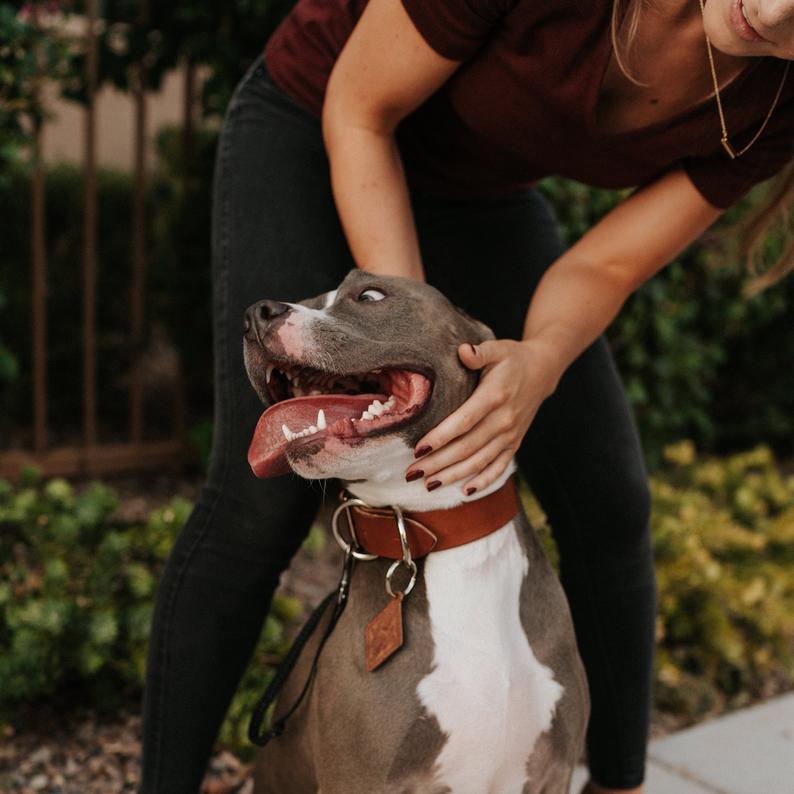 Classic leather dog collar handcrafted from genuine full grain leather with stainless steel hardware, featuring a personalized diamond dog tag.