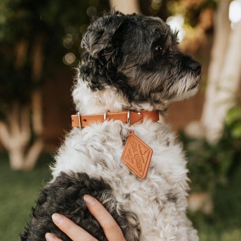 Classic leather dog collar handcrafted from genuine full grain leather with stainless steel hardware, featuring a personalized diamond dog tag.