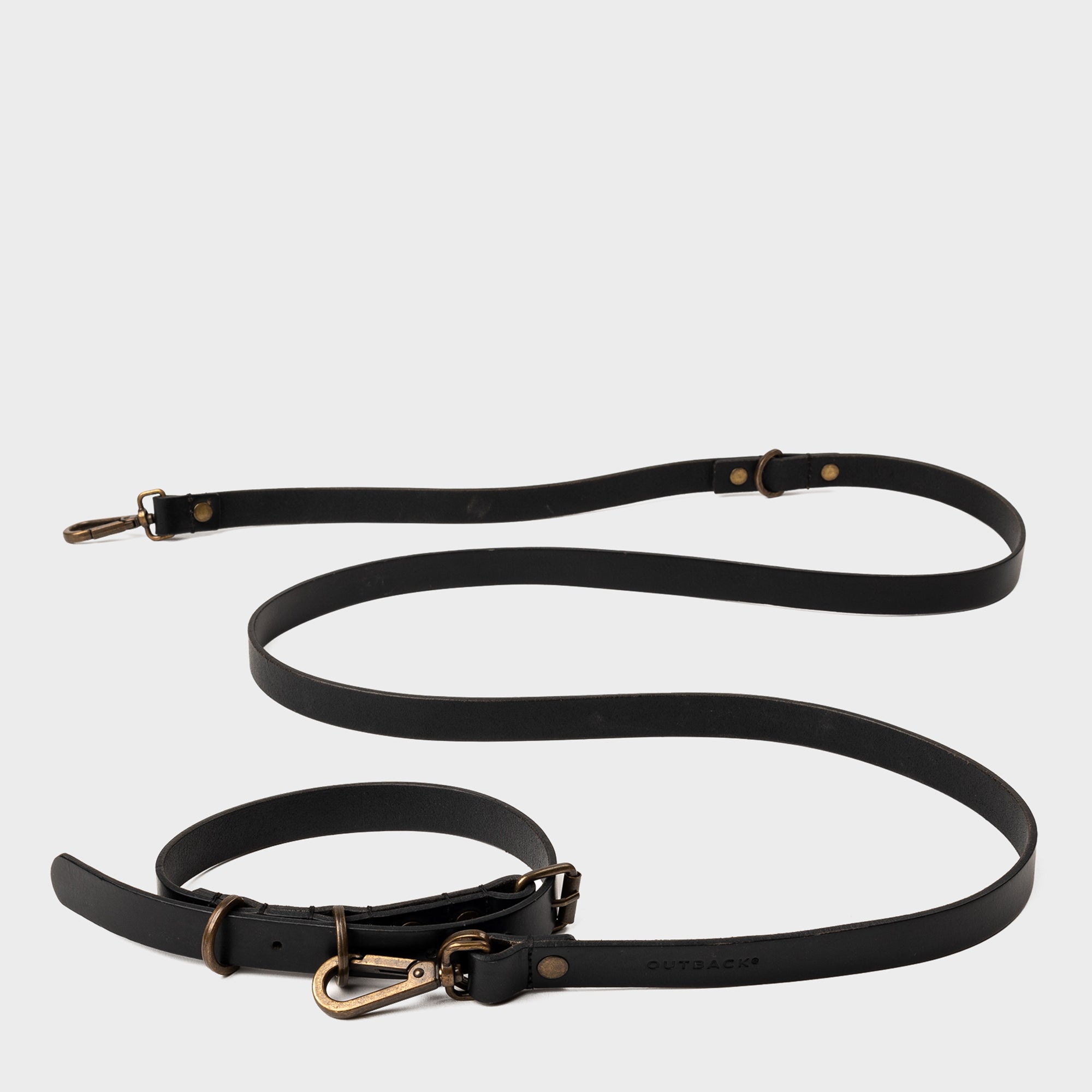 Premium pet collar and leash set made from durable leather with antique brass hardware, showcasing handcrafted details.