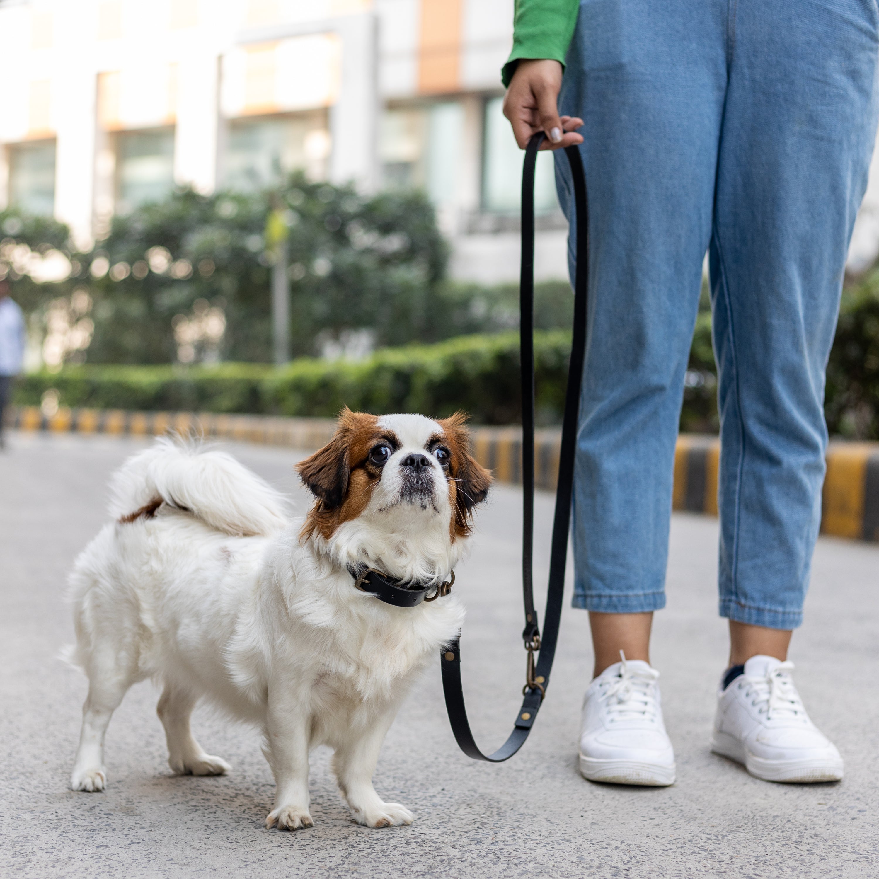 Premium heavy-duty pet leash made from durable leather with antique brass hardware, adjustable to three lengths for versatile use.