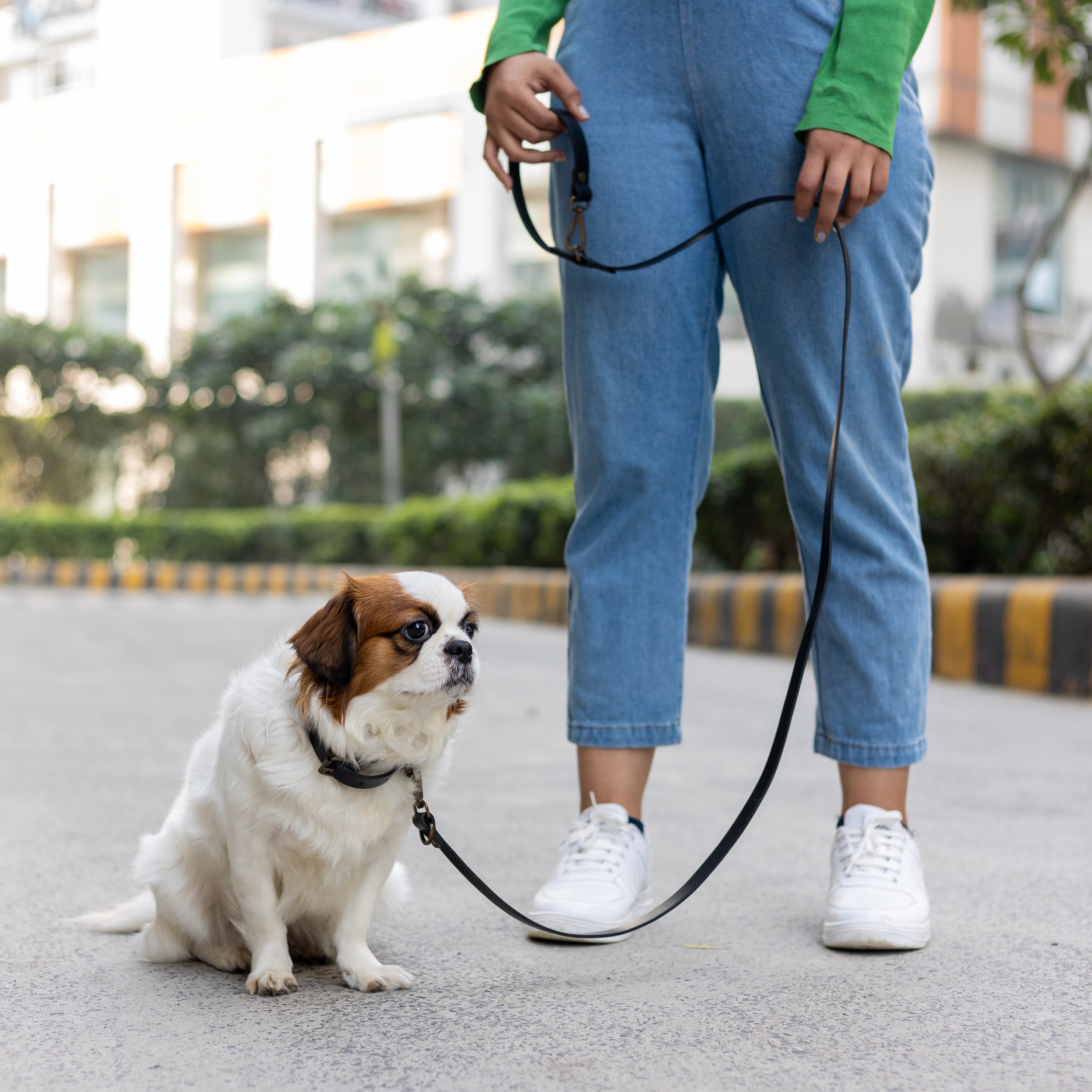 Premium heavy-duty pet leash made from durable leather with antique brass hardware, adjustable to three lengths for versatile use.