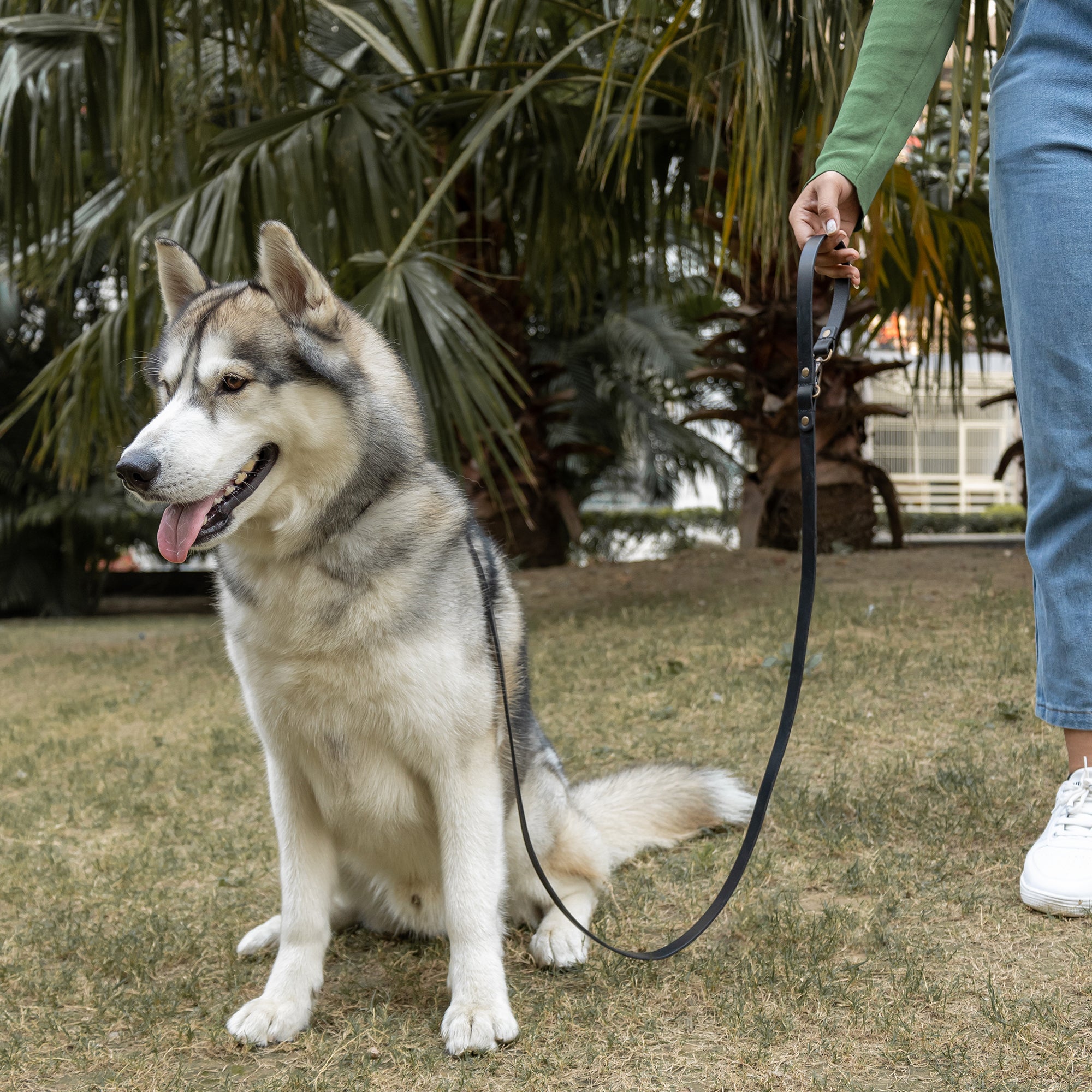 Premium heavy-duty pet leash made from durable leather with antique brass hardware, adjustable to three lengths for versatile use.