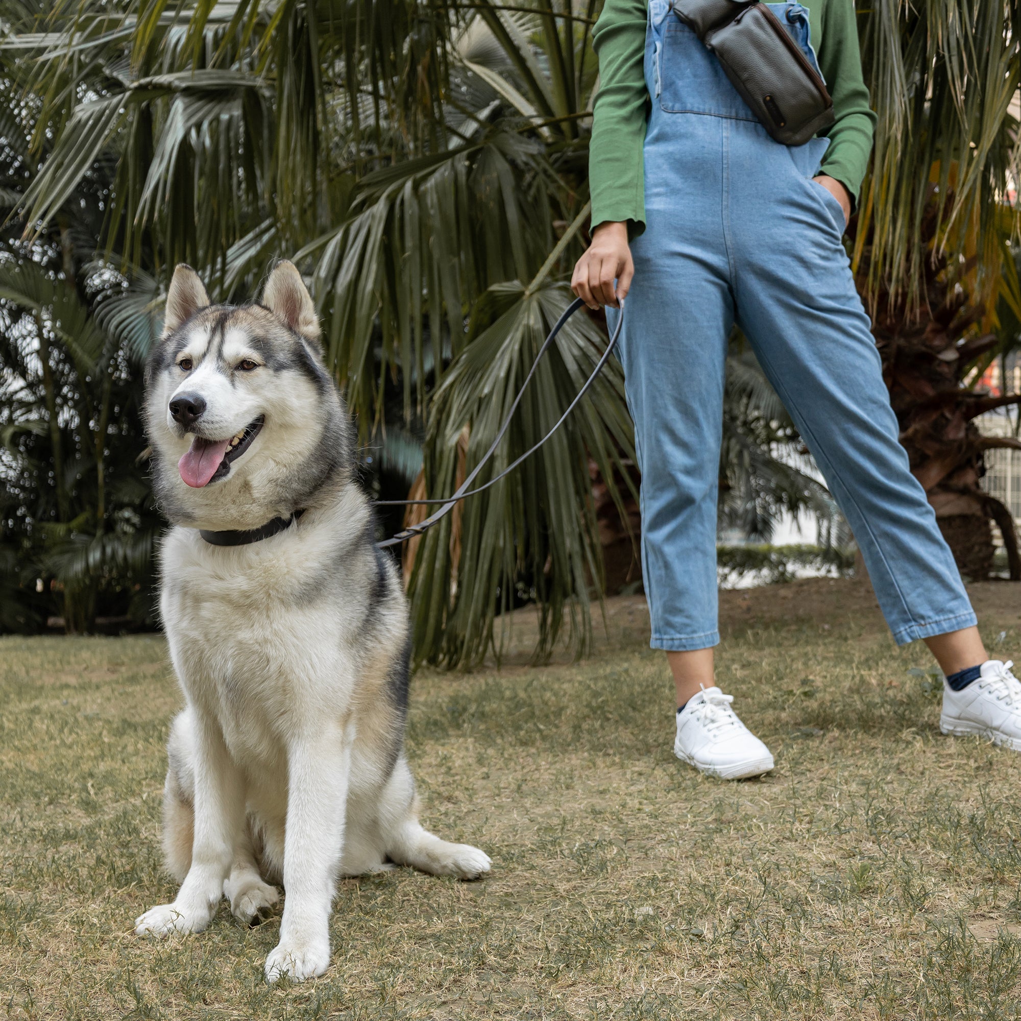 Premium heavy-duty pet leash made from durable leather with antique brass hardware, adjustable to three lengths for versatile use.