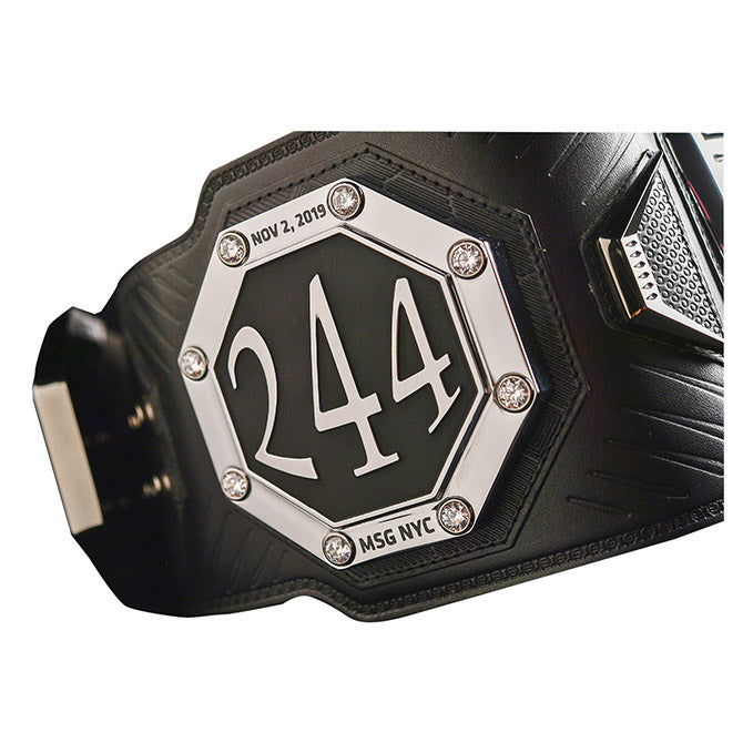 UFC BMF Replica Belt displayed in a black zippered carry case, showcasing its unique design and craftsmanship.