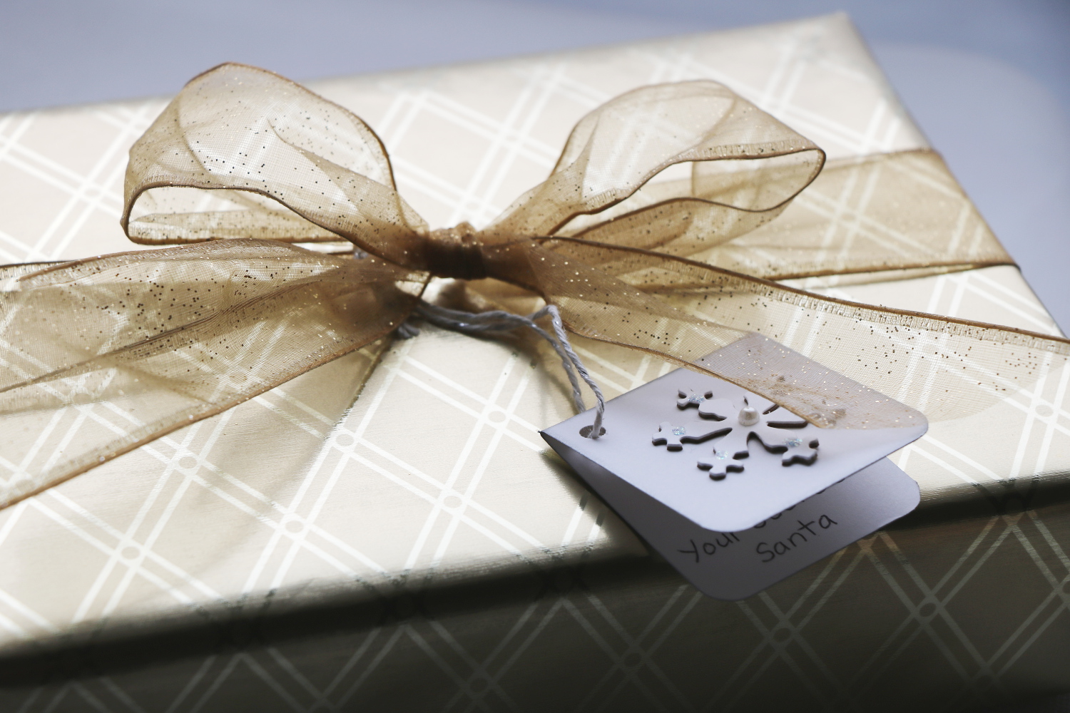 A beautifully arranged Soap Sampler Gift Set featuring eight natural soaps in various scents, tied with a decorative ribbon.